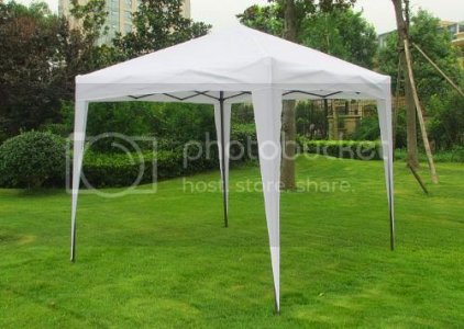 8x8%20Canopy.jpg