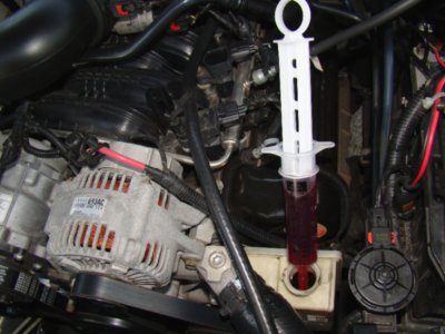 Power Steering Clean Fluid Install.jpg